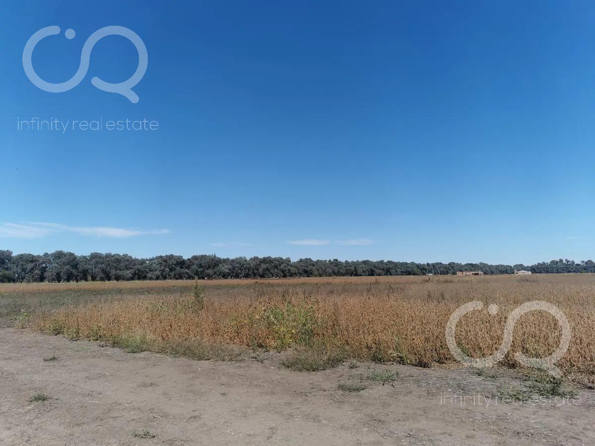 Foto de VENTA LOTE 2600 M2, CARLOS KEEN, imagen 4