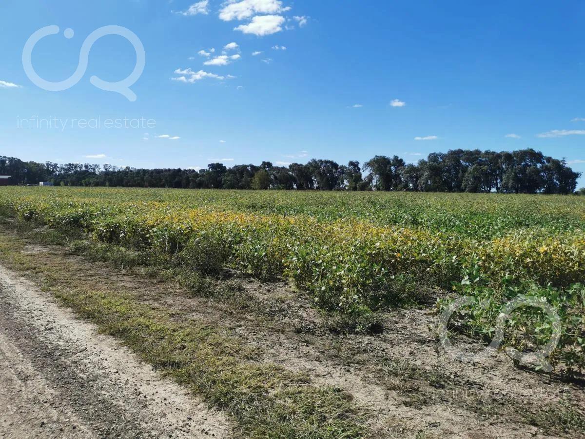 Foto de VENTA LOTE 2600 M2, CARLOS KEEN, imagen 2