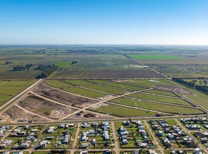 Foto de Terreno en Venta - VIDA GREEN, imagen 2