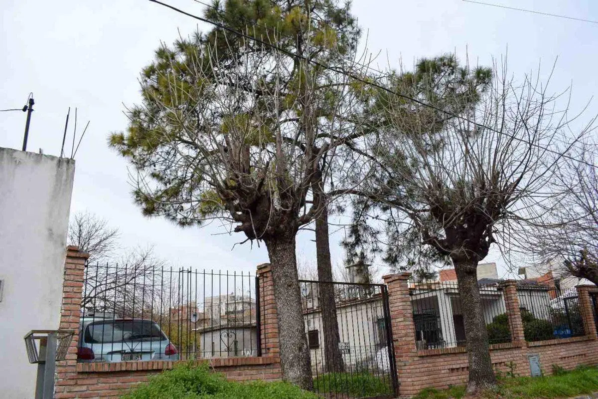 CASA A RECICLAR -LOTE PROPIO 600 M2  -VILLA CELINA 5