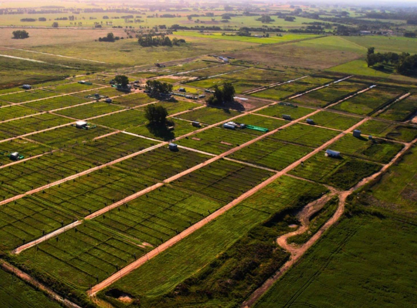 Foto de Venta Lote Reserva del Oeste - Etapa 2 S/Expensas, imagen 4