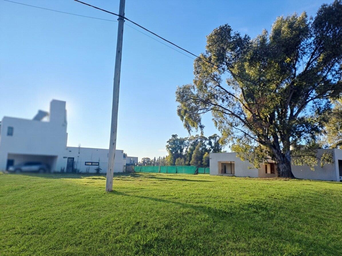 Foto de Lote Rozas y Clegg - B° Barrio Patagonia, imagen 1