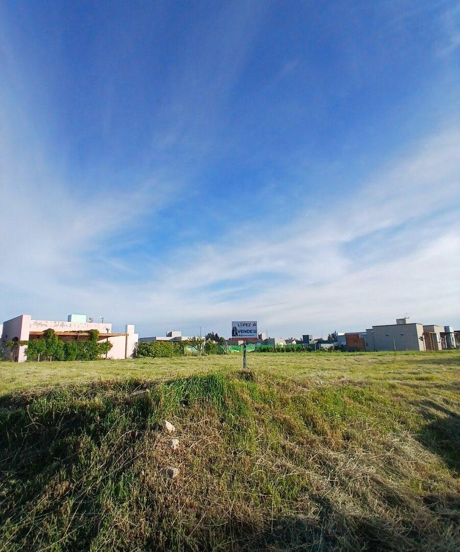 Foto de Lote Las Acacias - Laudelino Cruz y Mayor de Elías, imagen 3