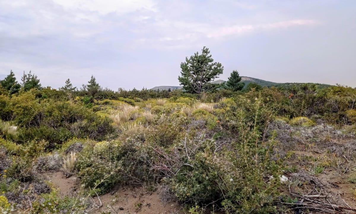 Terreno en Venta en Bariloche. Zona Esandi y Ruta.