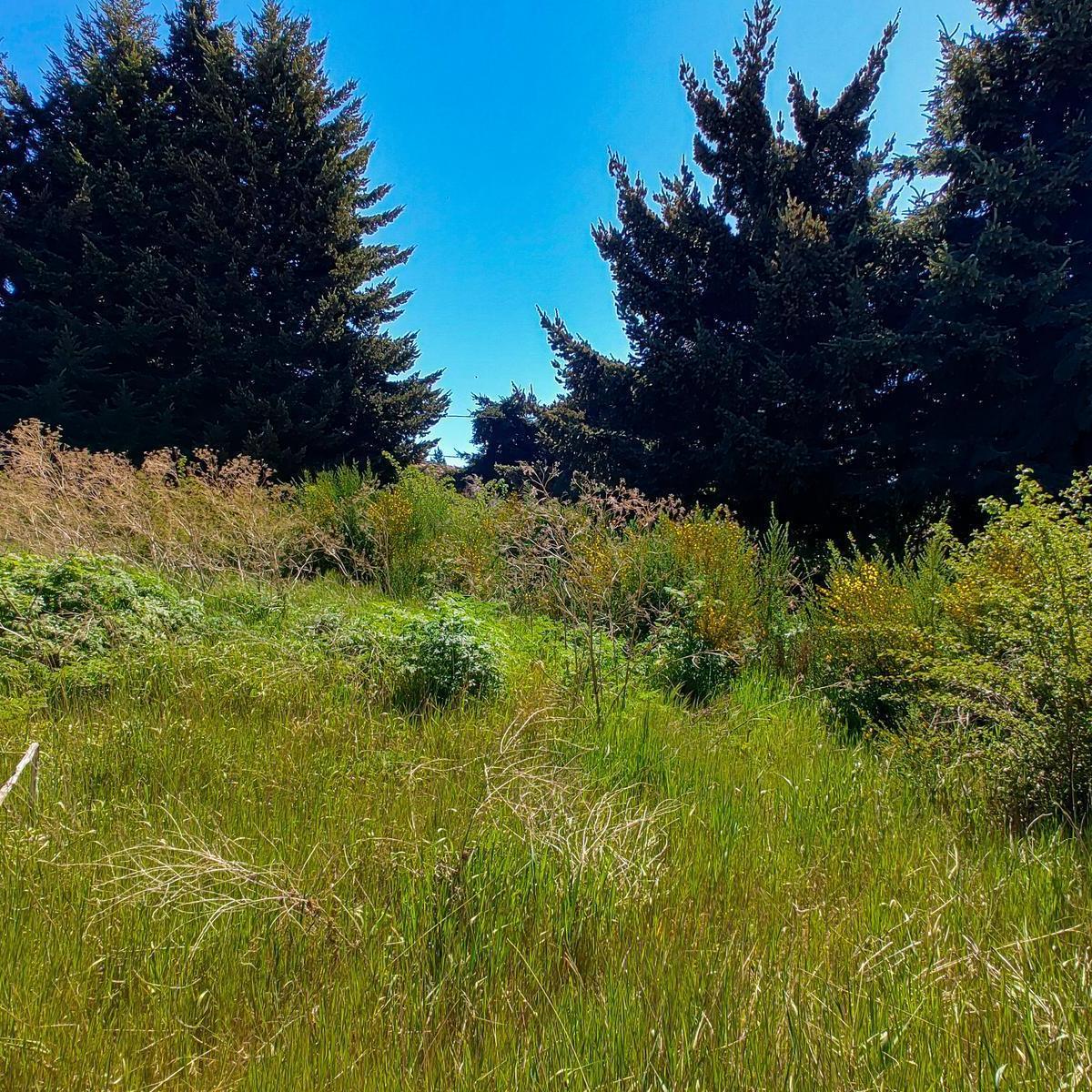 Terreno en venta en Dina Huapi, a una cuadra de la ruta 40.