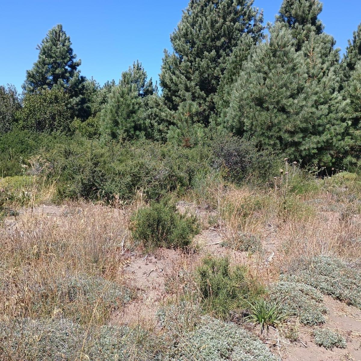Terreno en Solares del Este