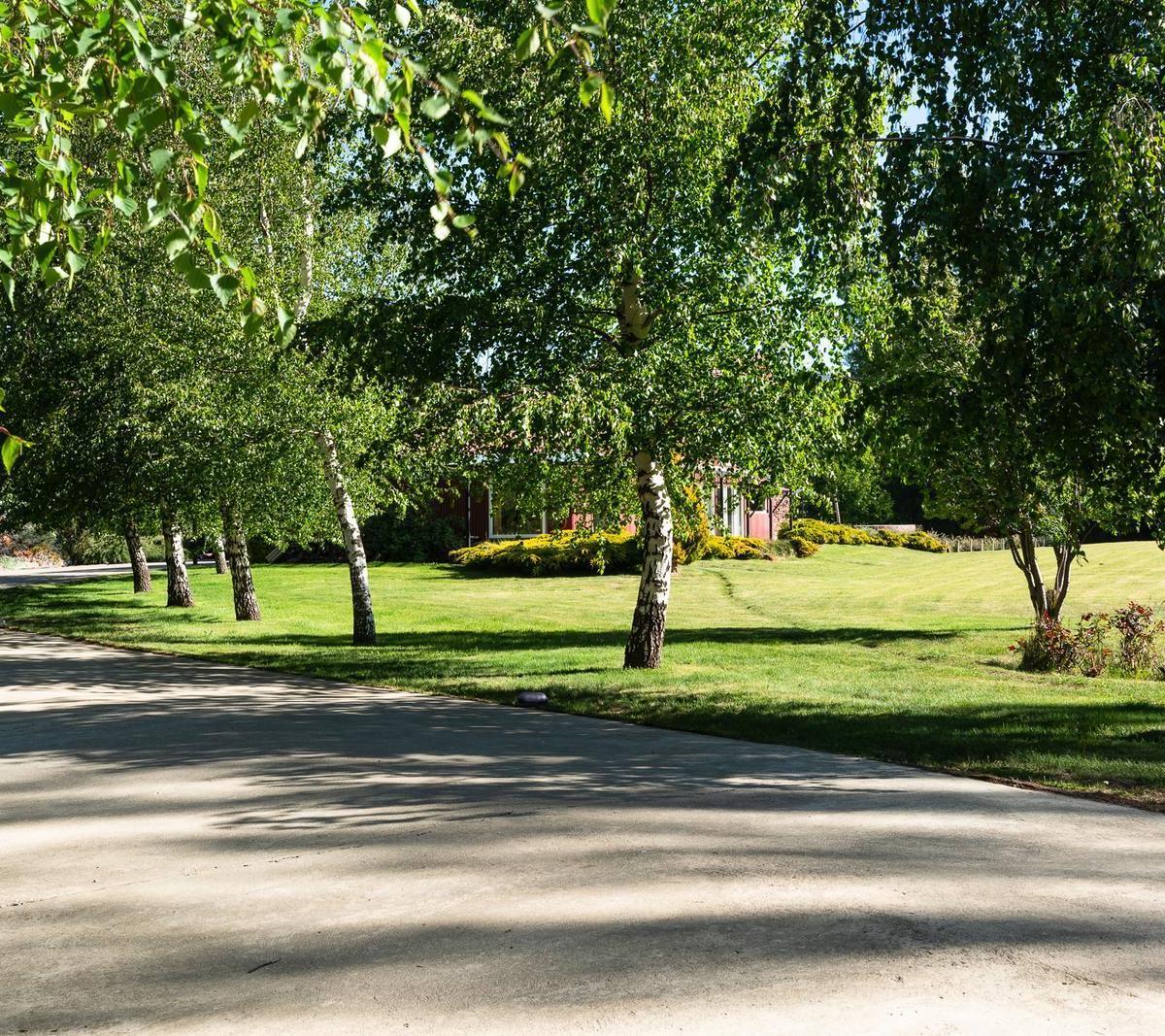 Hermosa Finca en Las Vicotiras 1