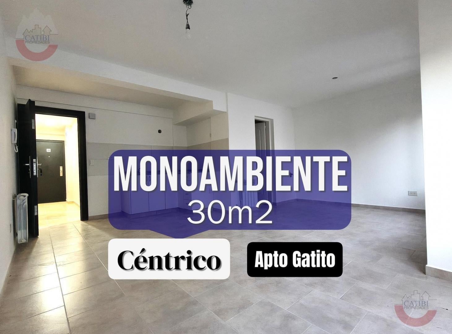 Departamento monoambiente en alquiler. Apto Gatito