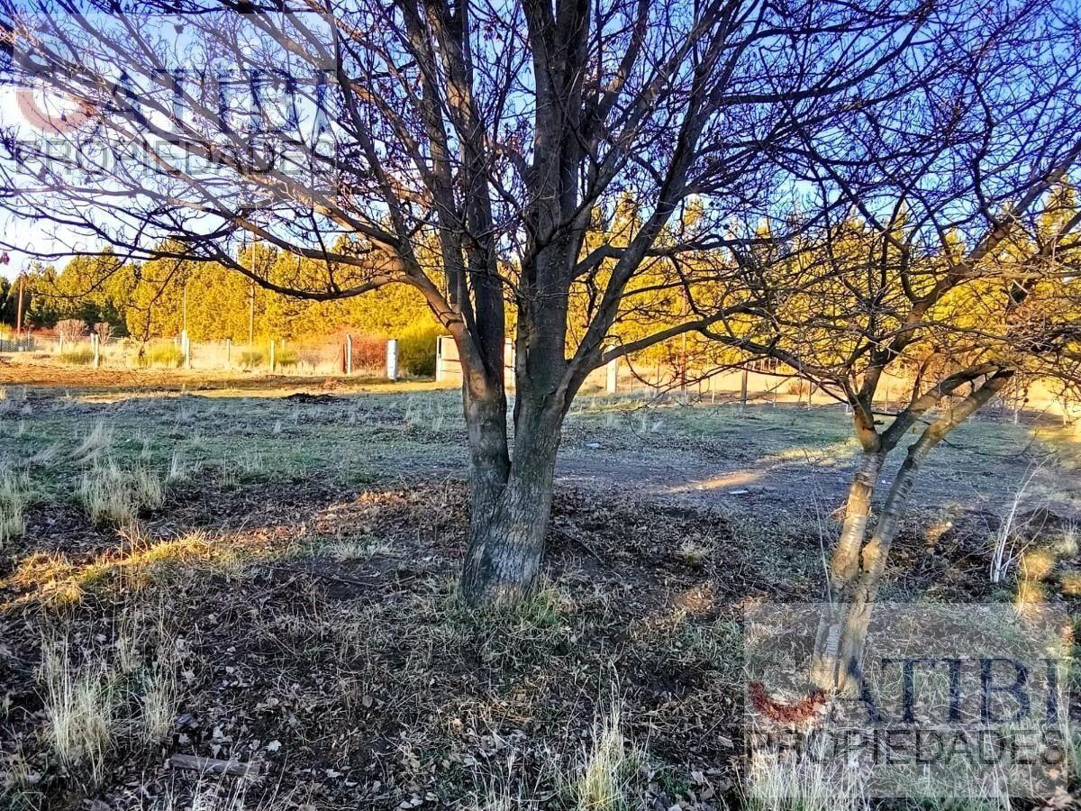 Foto de Lote en Dina Huapi - Oportunidad!, imagen 3