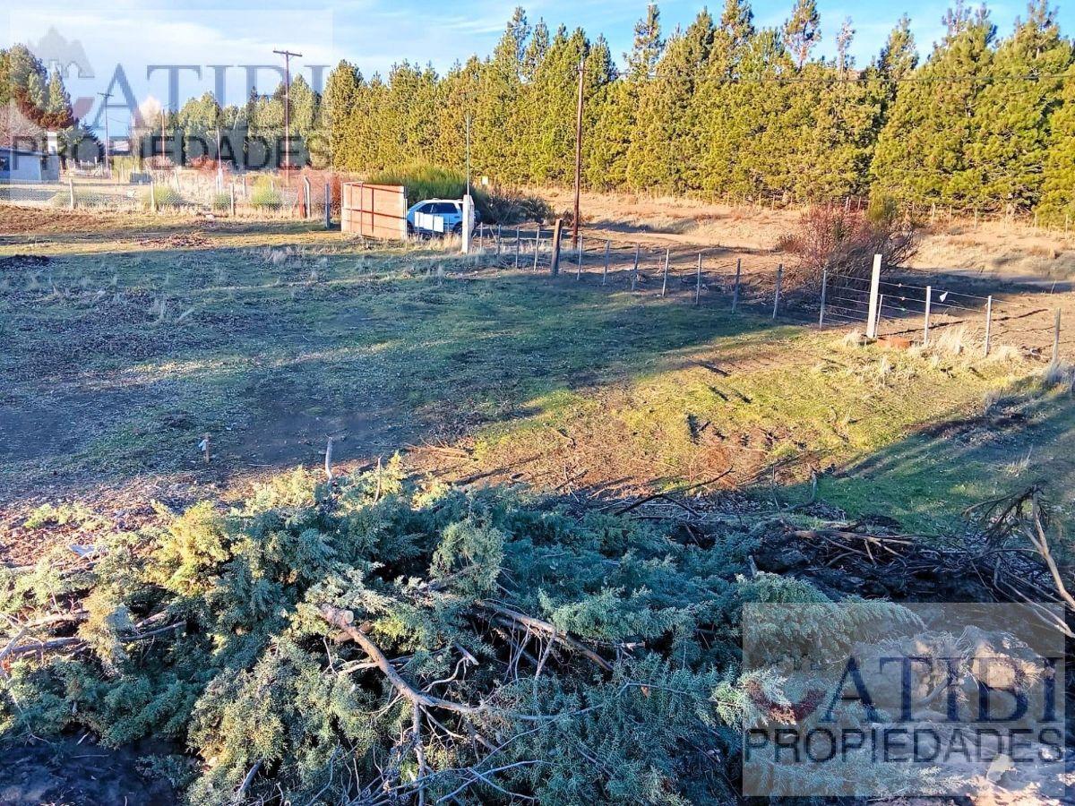 Foto de Lote en Dina Huapi - Oportunidad!, imagen 2