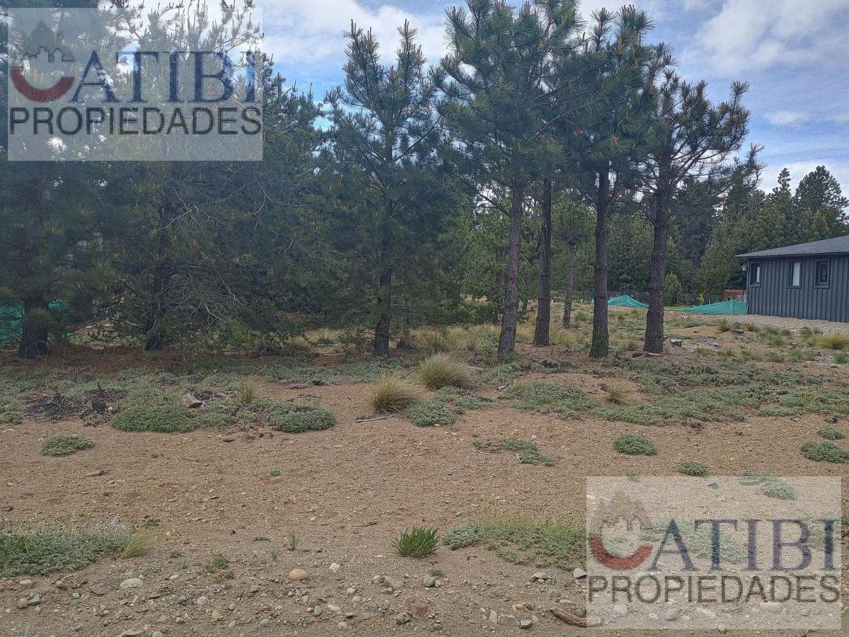 Foto de VENTA Lote Dos Valles E55, imagen 3