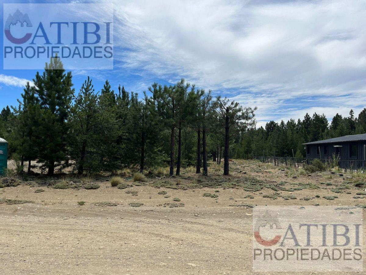 Foto de VENTA Lote Dos Valles E55, imagen 4