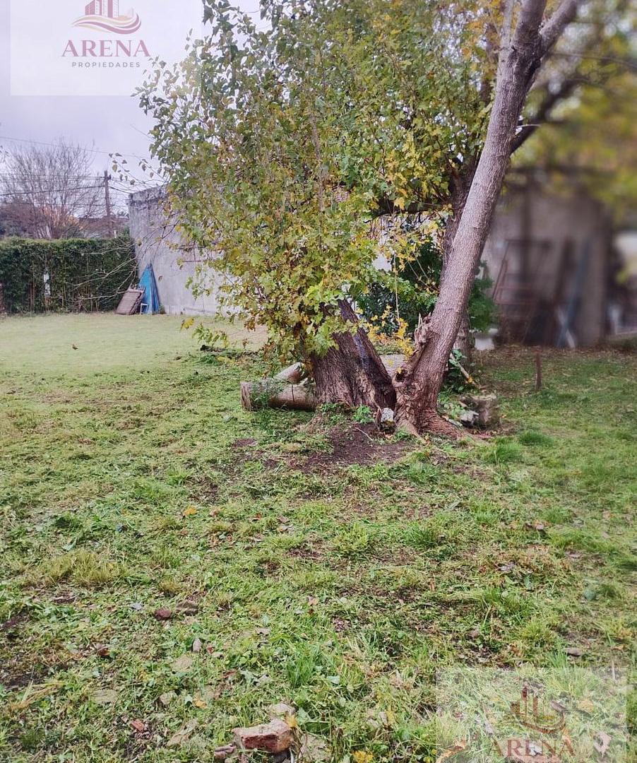 Foto de Terreno en Venta Catelar Sur, imagen 5