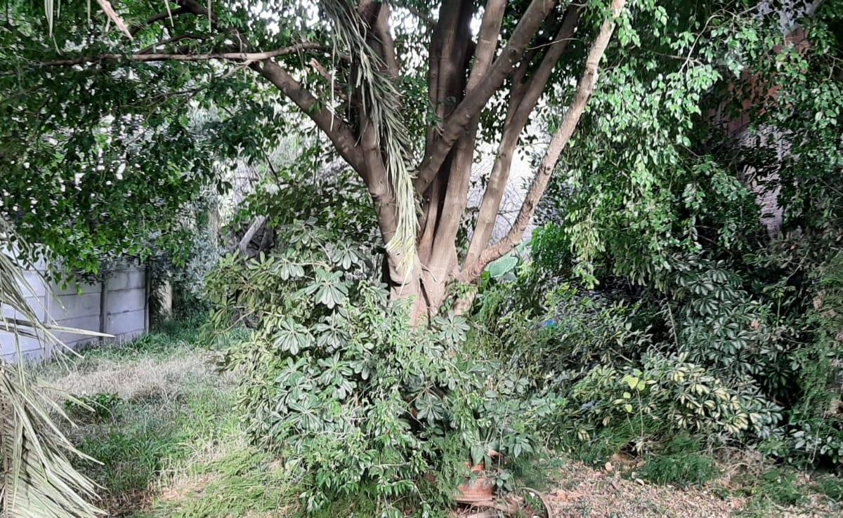 Vn - Venta Gran Lote 600 m Cuadrados Berazategui Centro 5