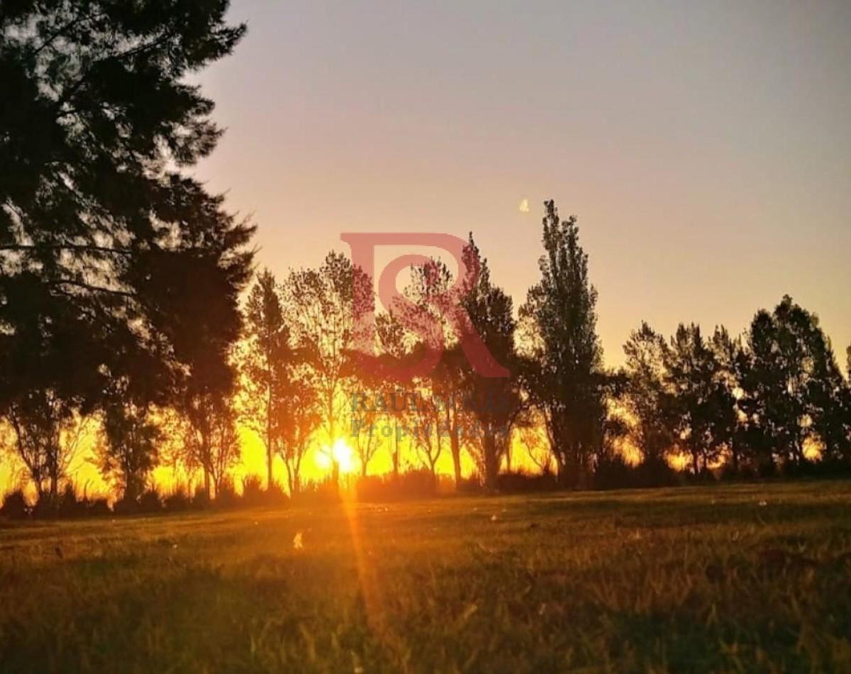 Foto de DN - Lote en venta en Posada de los Lagos!!, imagen 2