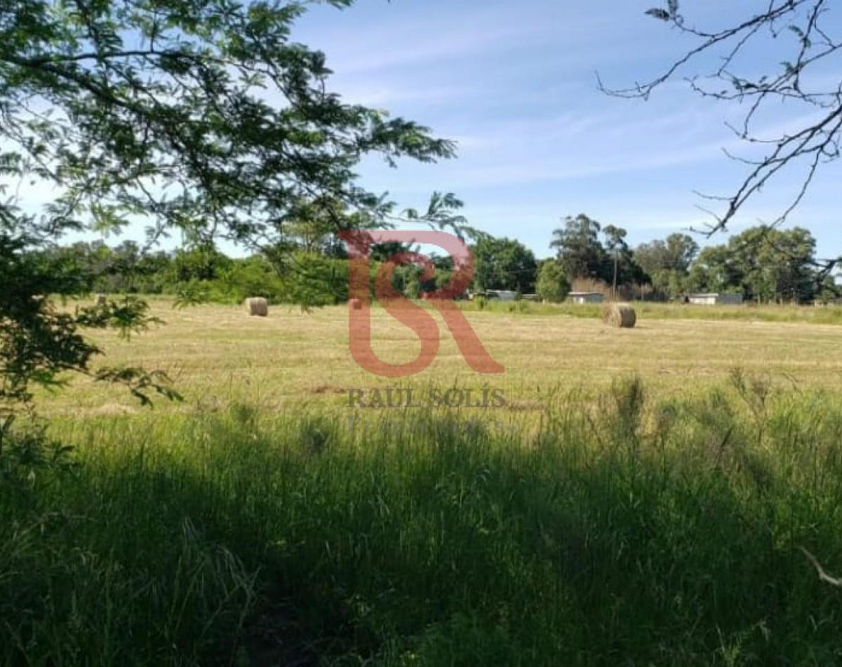 Foto de ES- Lotes en Venta, imagen 3