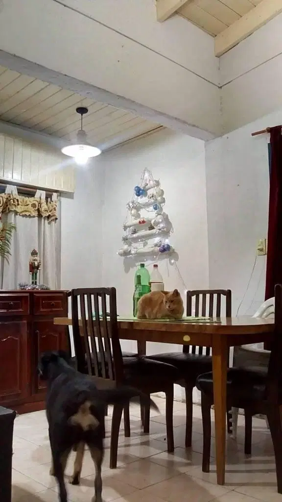 CASA DE 3 AMBIENTES con JARDIN EN FLORENCIO VARELA, TERRENO DE 300 MTS2 4
