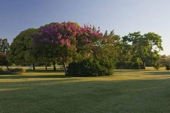 Parque Gloriam Jardin de Paz- Burzaco. Parcela En El Sector De Las Flores 006 2