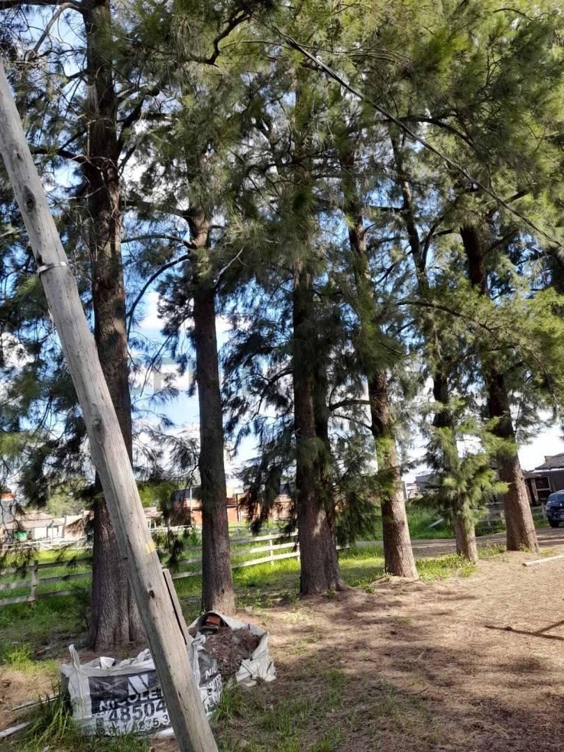 Foto de LOTE EN VENTA EN BARRIO CERRADO HARAS EL TERRAPLEN, imagen 3