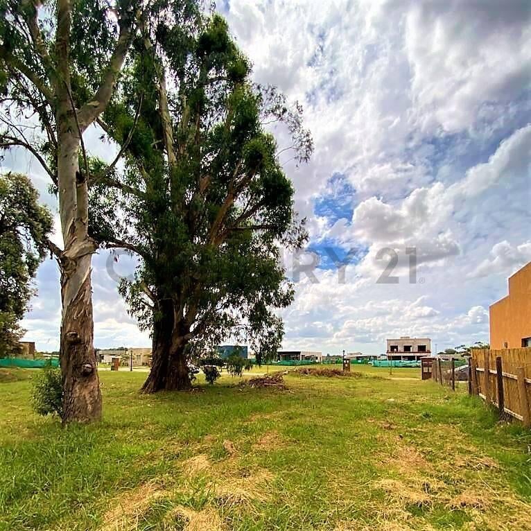 Foto de Lote Perimetral en venta en Pilar del Este Barrio San Ramón con arboleda, imagen 1