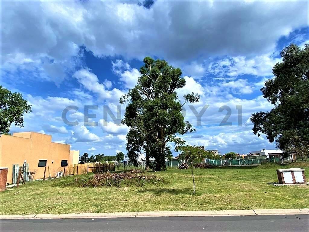 Foto de Lote Perimetral en venta en Pilar del Este Barrio San Ramón con arboleda, imagen 4