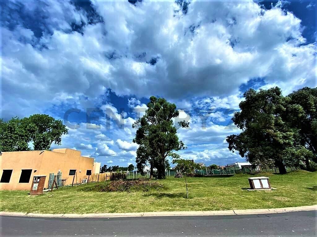 Foto de Lote Perimetral en venta en Pilar del Este Barrio San Ramón con arboleda, imagen 5