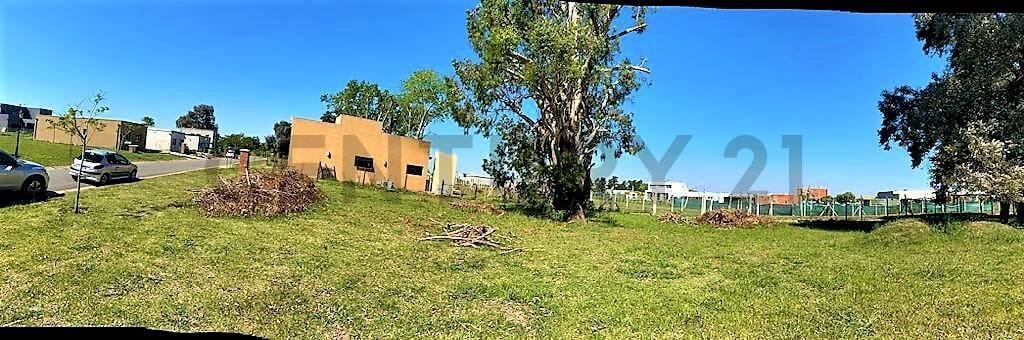 Foto de Lote Perimetral en venta en Pilar del Este Barrio San Ramón con arboleda, imagen 2