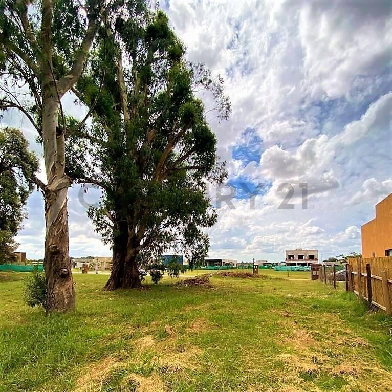 Foto de Lote Perimetral en venta en Pilar del Este Barrio San Ramón, imagen 1