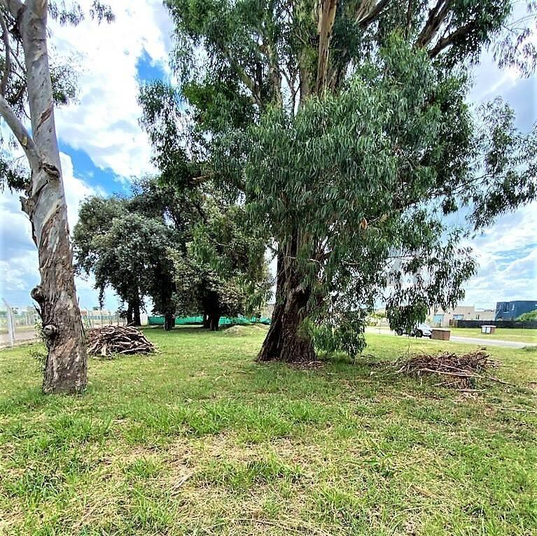 Foto de Lote Perimetral en venta en Pilar del Este Barrio San Ramón, imagen 3