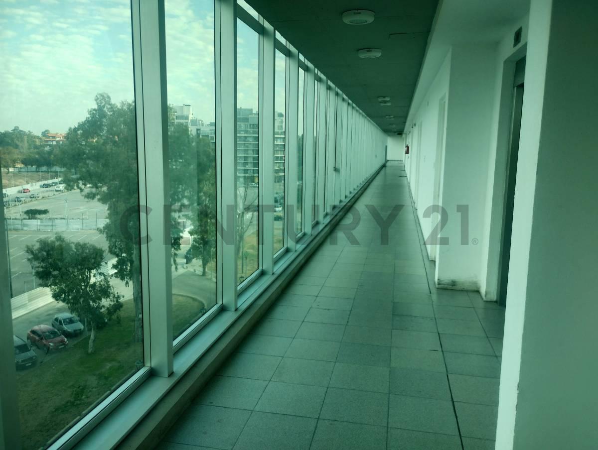 Foto de DEPARTAMENTO 2 AMBIENTES CON BALCON BARRIO OLIMPICO LAGO SUR. BAJAMOS, imagen 4