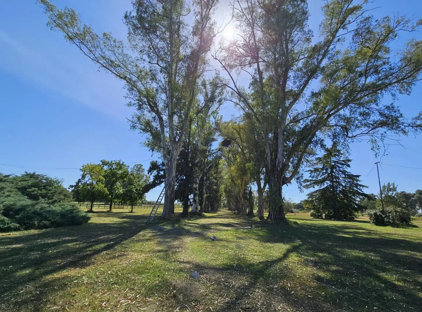 Campo de 140 hectareas en Venta, Pilar y Lujan 2