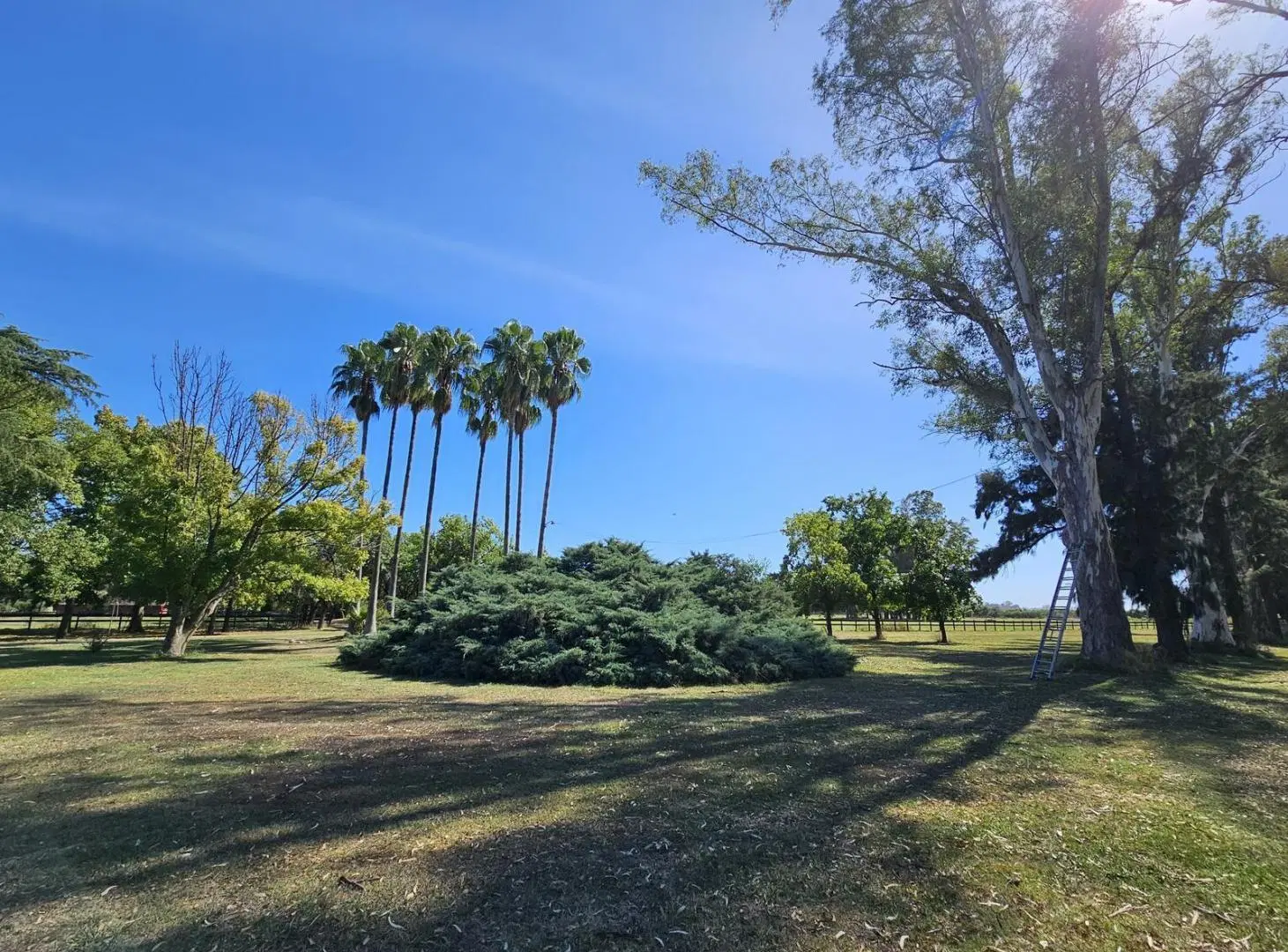 Campo de 140 hectareas en Venta, Pilar y Lujan 4