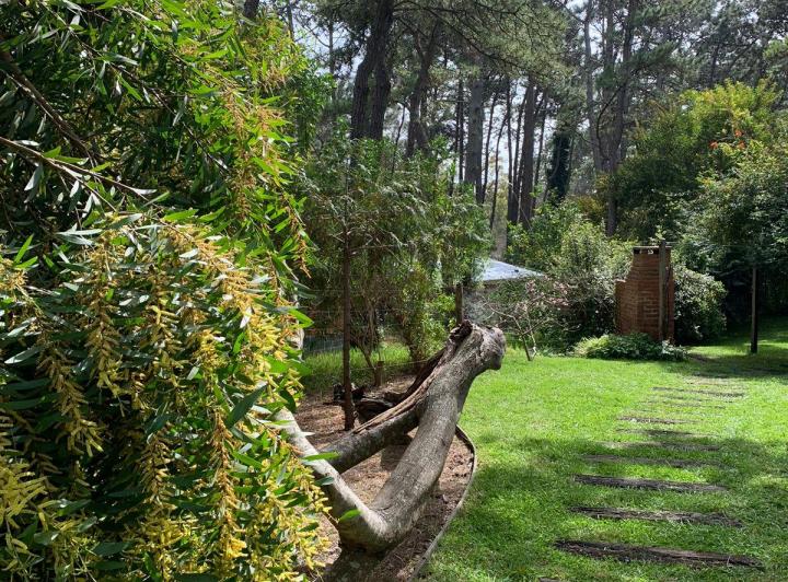 Casa en Alquiler en Mar De Las Pampas 2