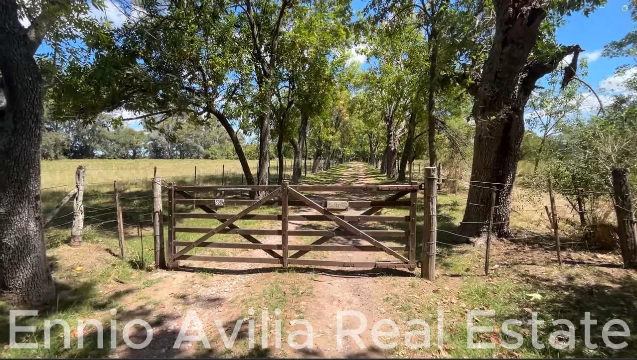 Venta de Quinta en Zelaya