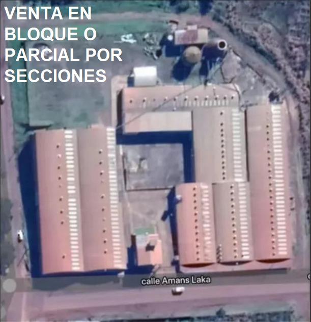 Foto de Vendo Planta en Puerto Esperanza en Bloque o Parcial por Secciones, imagen 2