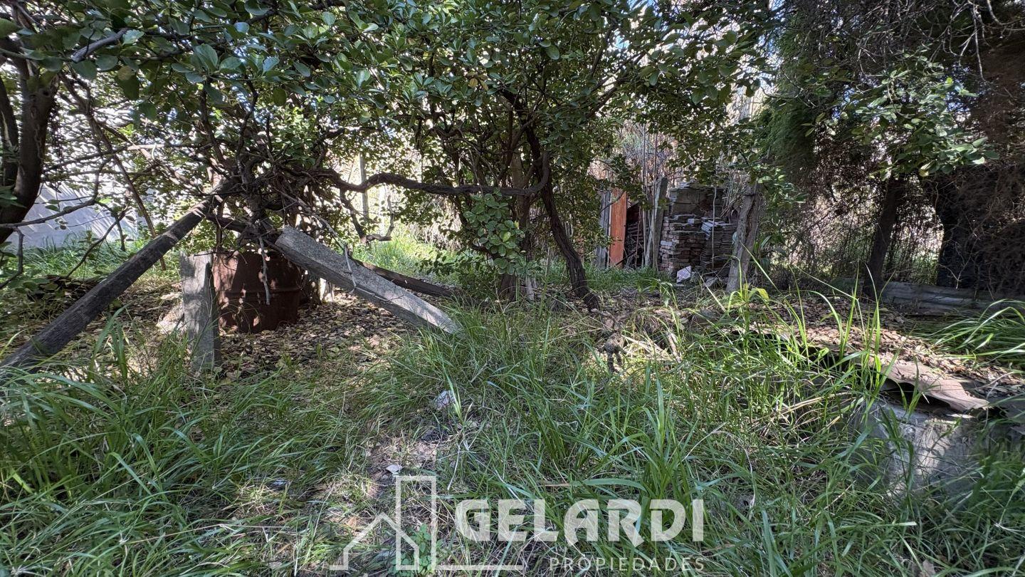 Foto de Venta Casa 2 dormitorios terreno villa Mitre reciclar, imagen 5