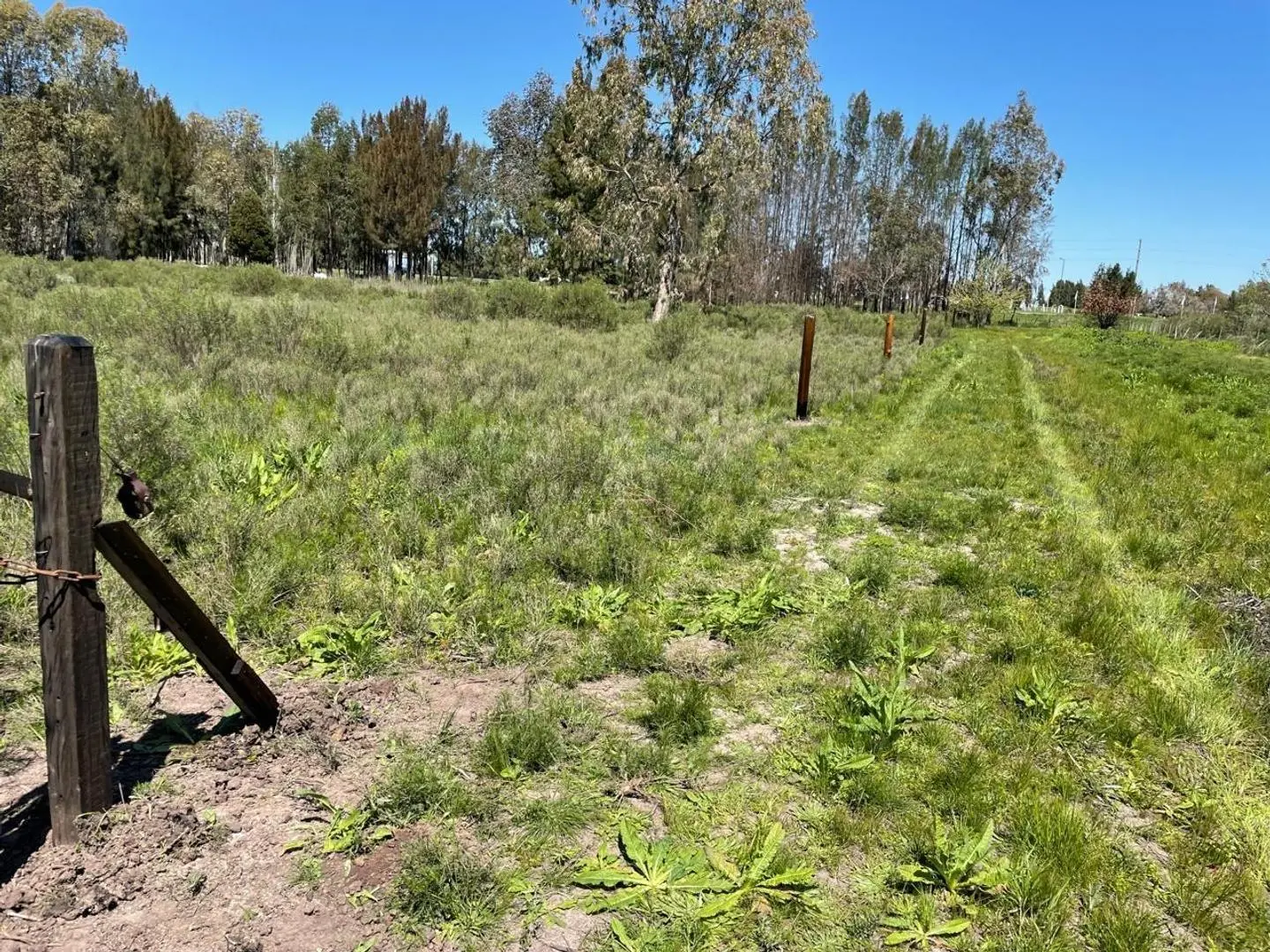 Lote en Venta, La Plata 2