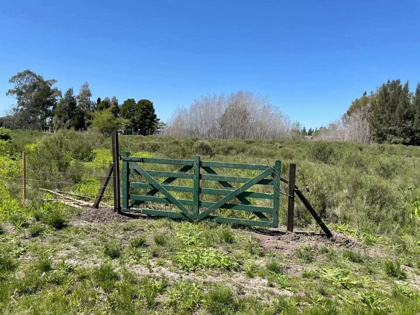 Lote en Venta, La Plata 1