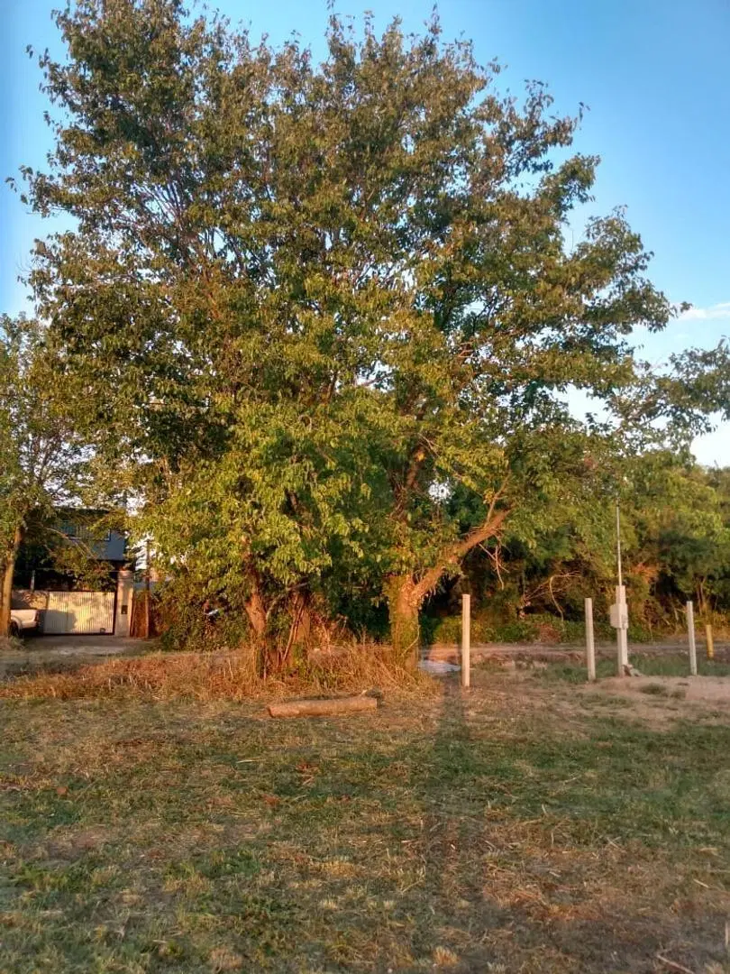 Venta de lote, Arturo Seguí. La Plata 8