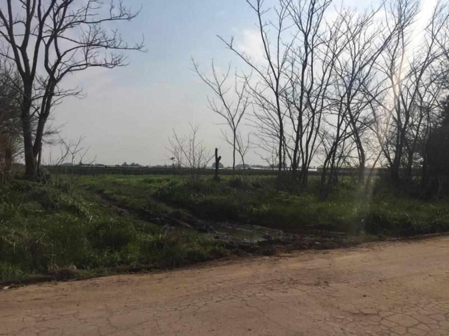 Foto de Campo en Venta. Los Hornos, imagen 2