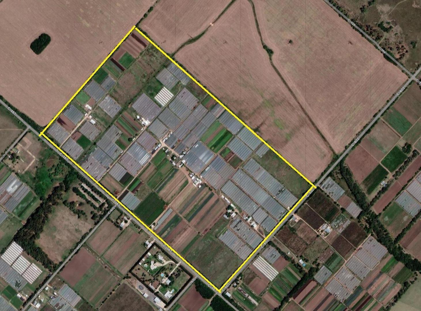Foto de Campo en Venta. Los Hornos, imagen 5