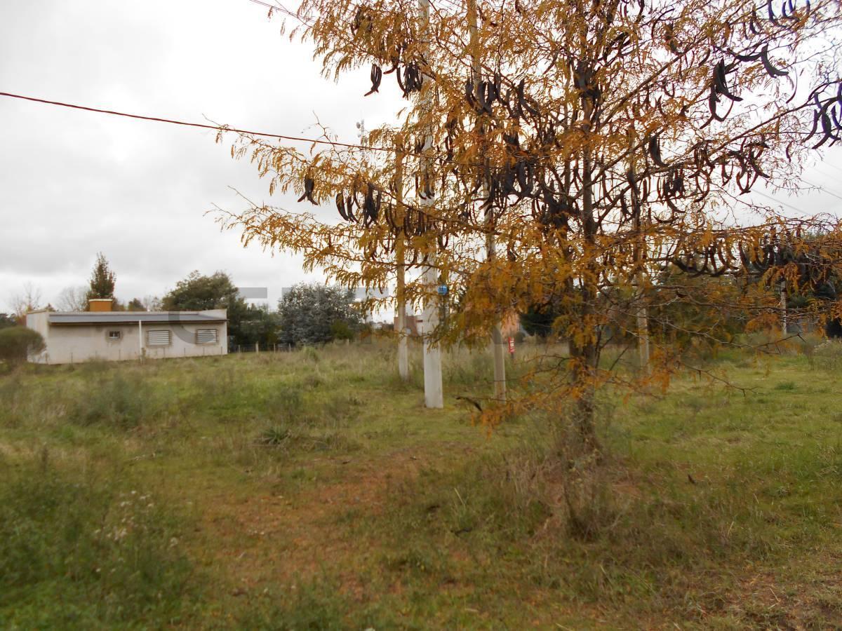 Foto de Lote en San Miguel del Monte, imagen 5