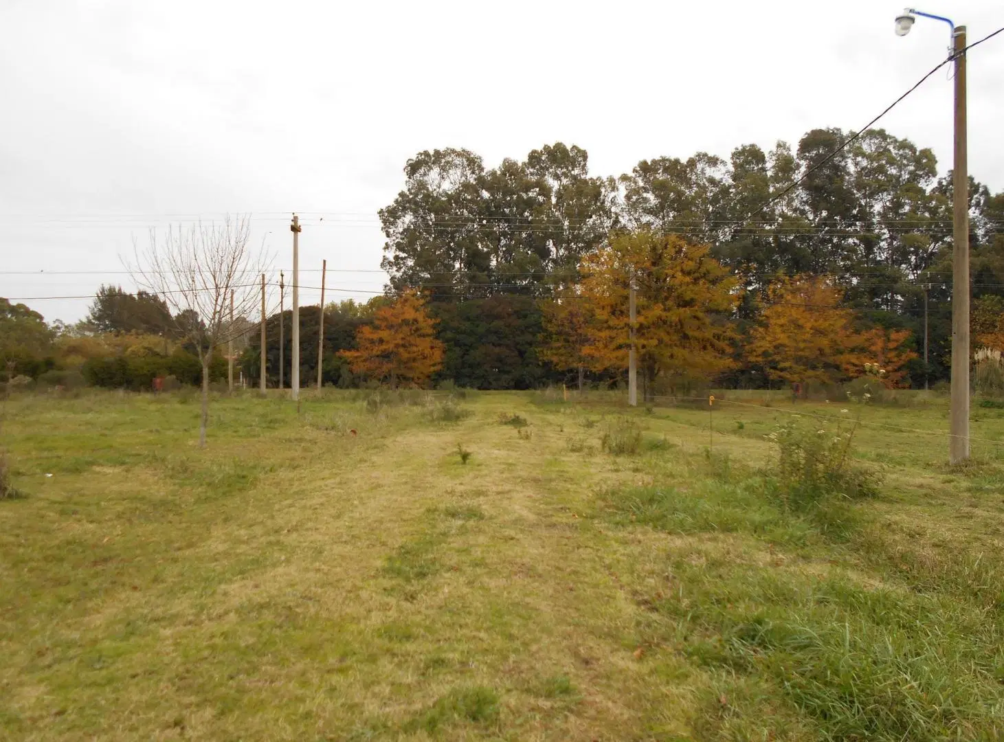 Lotes en San Miguel del Monte 5