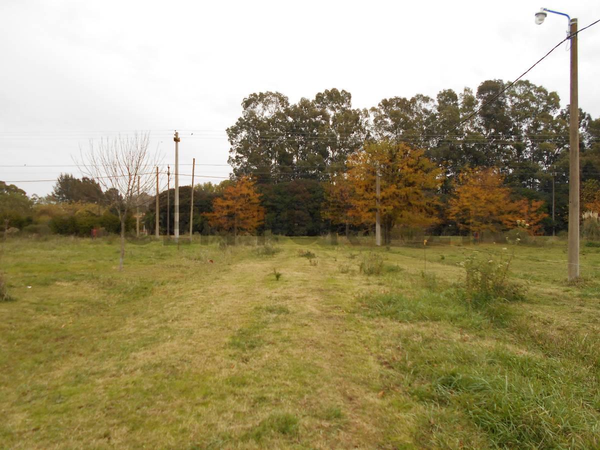 Foto de Lote en San Miguel del Monte, imagen 4