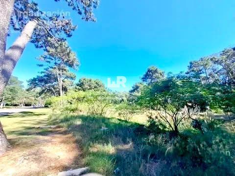 Foto de Terreno - sobre Av. Pedragosa Sierra - 5.951 m2 a pocas cuadras del, imagen 1