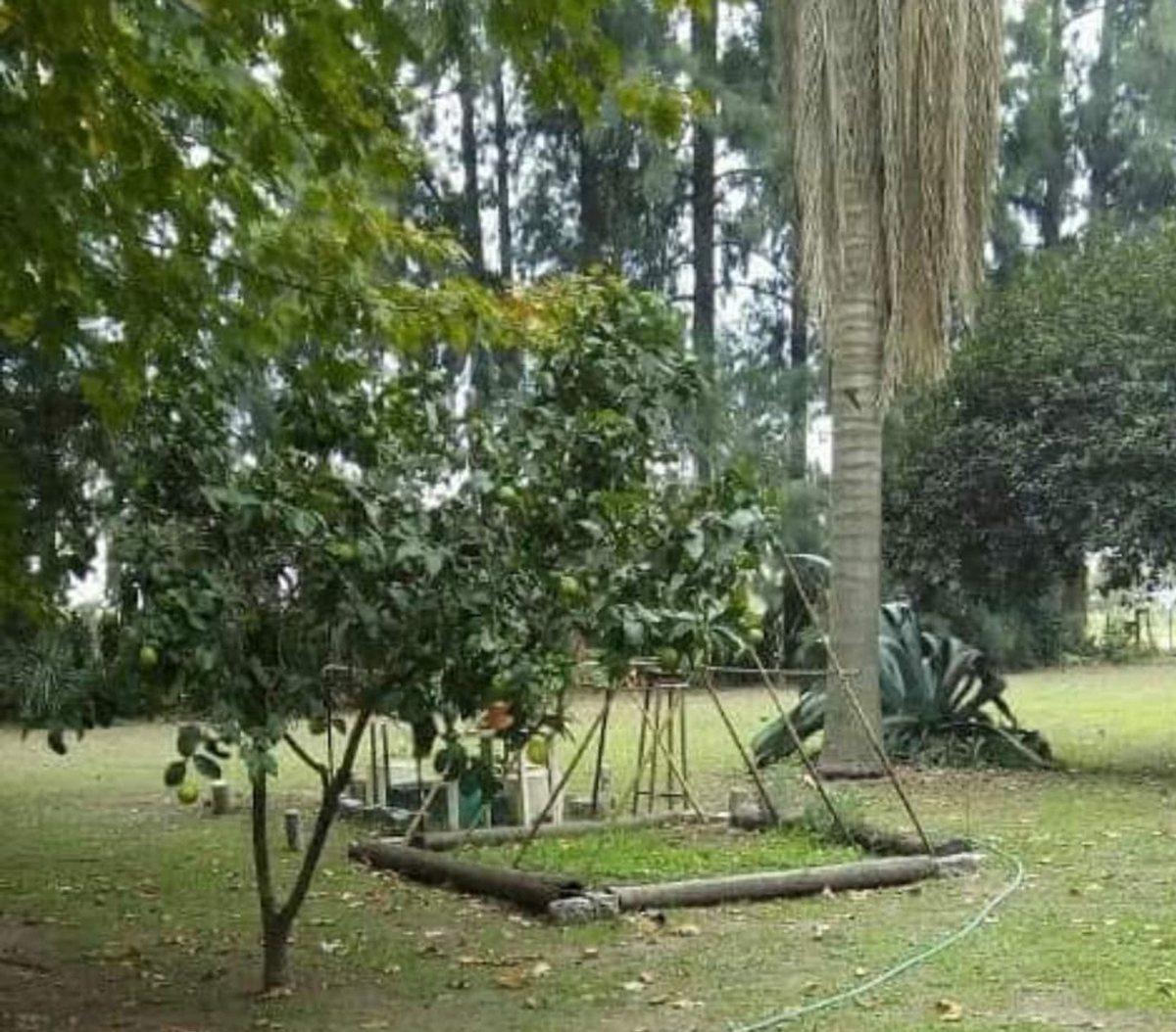 Quinta 1 Ha, Casa 3 Amb y Caballeriza - Marcos Paz 4