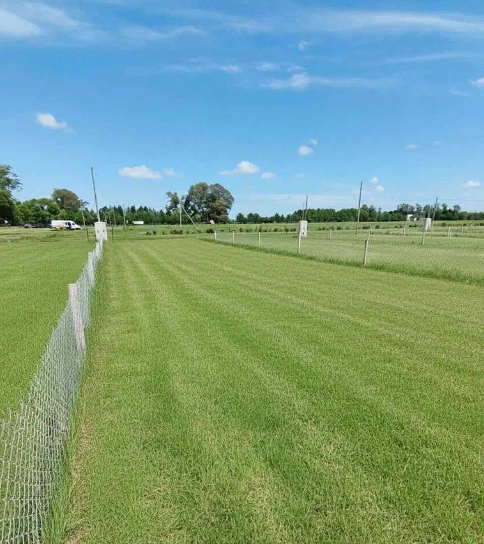 LOTE - BARRIO RESERVA DEL OESTE - GRAL RODRIGUEZ 4