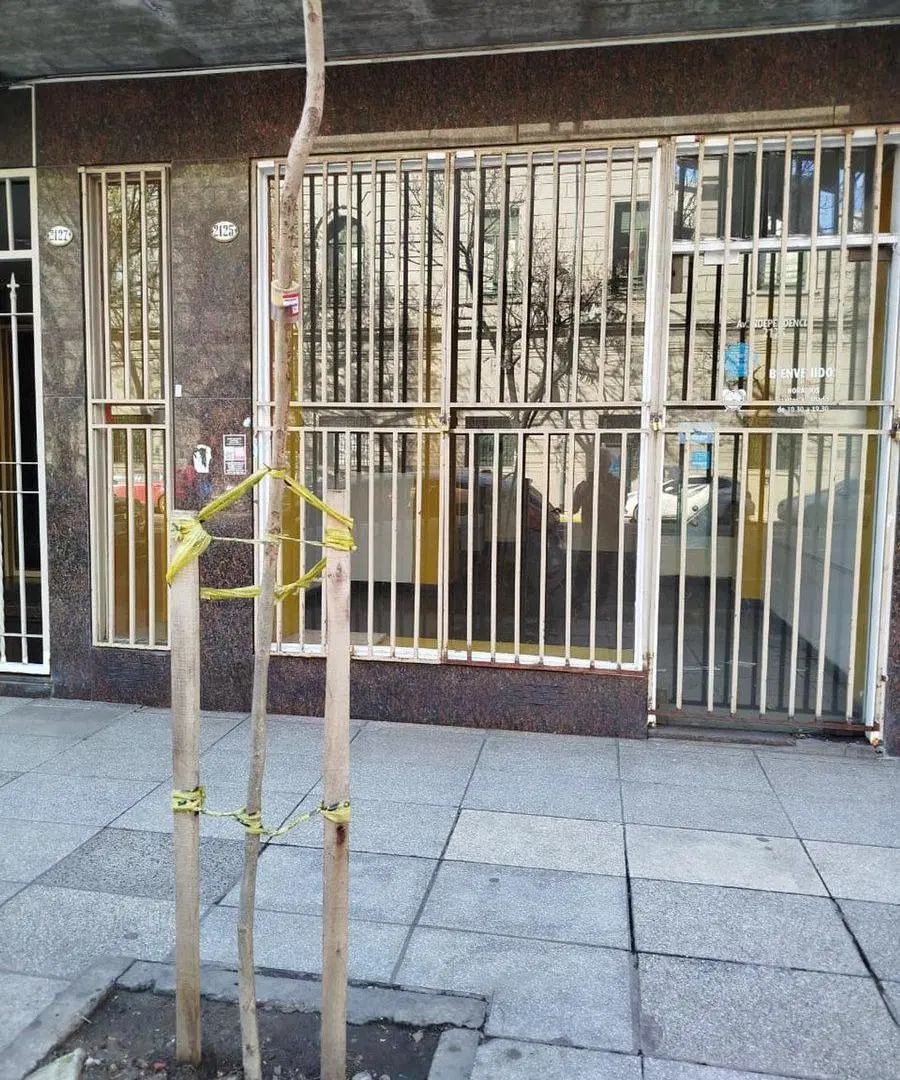 LOCAL a la Calle y Sótano sobre Av. Independencia 3