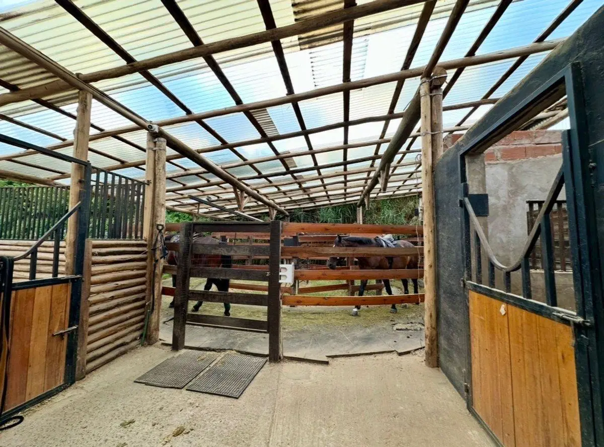 QUINTA- ESTABLECIMIENTO ECUESTRE EN VENTA EN PILAR 5