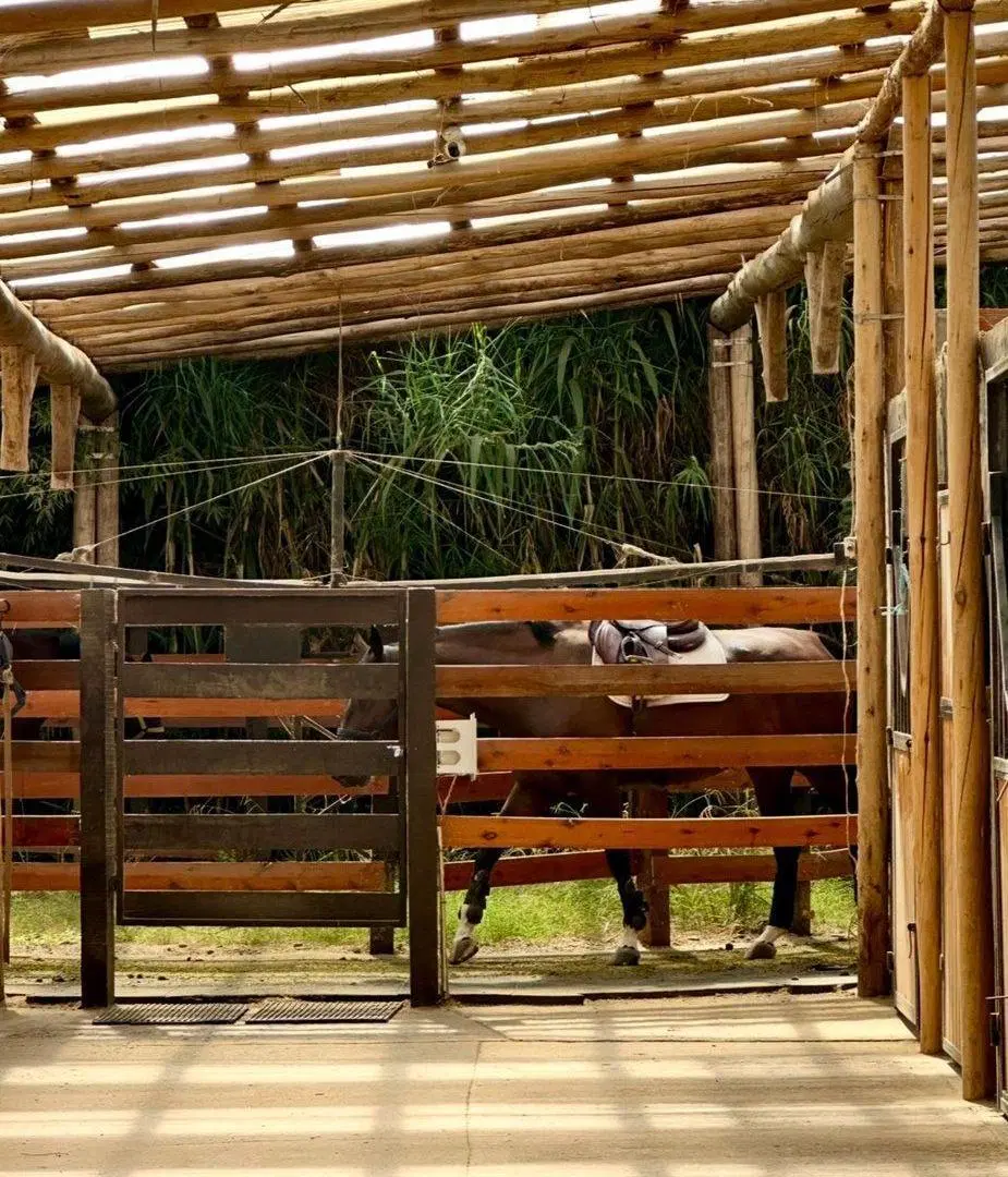 QUINTA- ESTABLECIMIENTO ECUESTRE EN VENTA EN PILAR 4